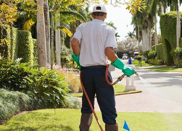 About Hinckley OH Pest Control